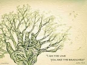 He is the D’Vine You are D’Branches